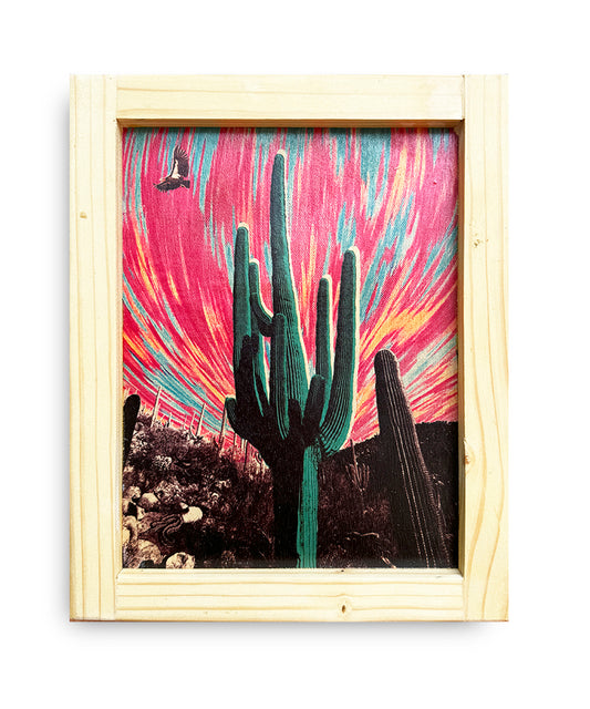 "Condor Cactus"